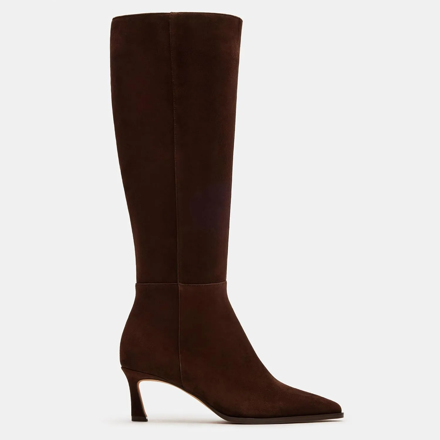 Black Kitten Heel Knee High Boots for Women Pointed Toe Tall Boots Slouch Dressy Stiletto Long Fall Boots